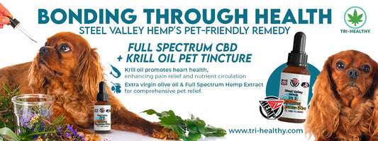 Bonding Through Health: Steel Valley Hemp's Pet-Friendly Remedy