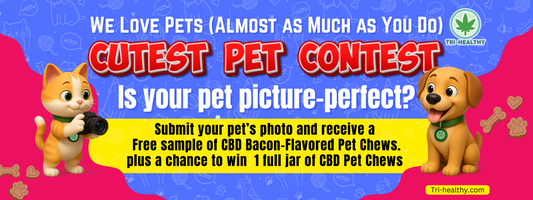 We Love Pets (Almost as Much as You Do)