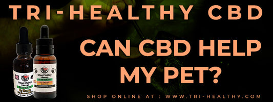 Can CBD Help My Pet?
