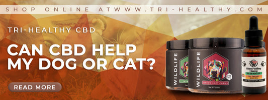 Can CBD Help My Dog or Cat?