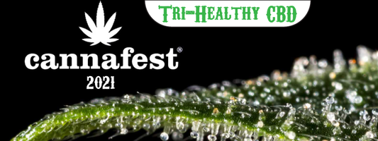 Cannafest 2021 Port Charlotte Recap