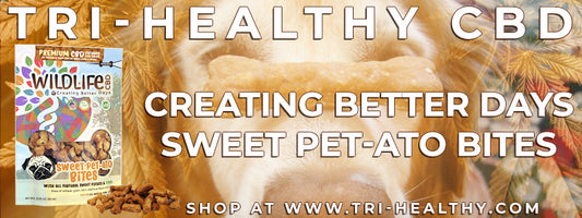 S1E126 Creating Better Days Sweet Pet-ato Bites