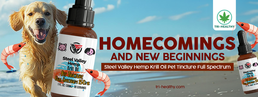 Chapter 10: Homecomings and New Beginnings