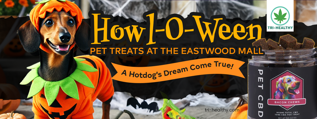 Howl-O-Ween Pet Treats at the Eastwood Mall: A Hotdog’s Dream Come True!