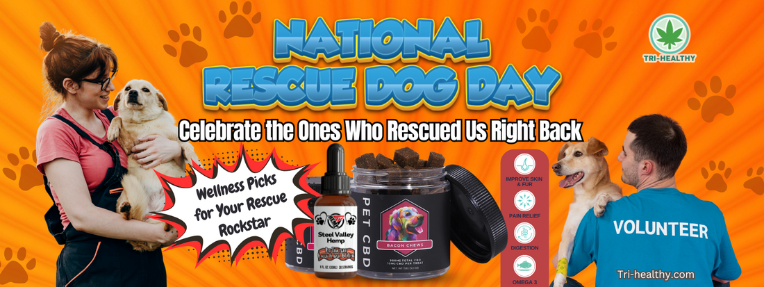 National Rescue Dog Day: Celebrating the Ones Who Rescued Us Right Back