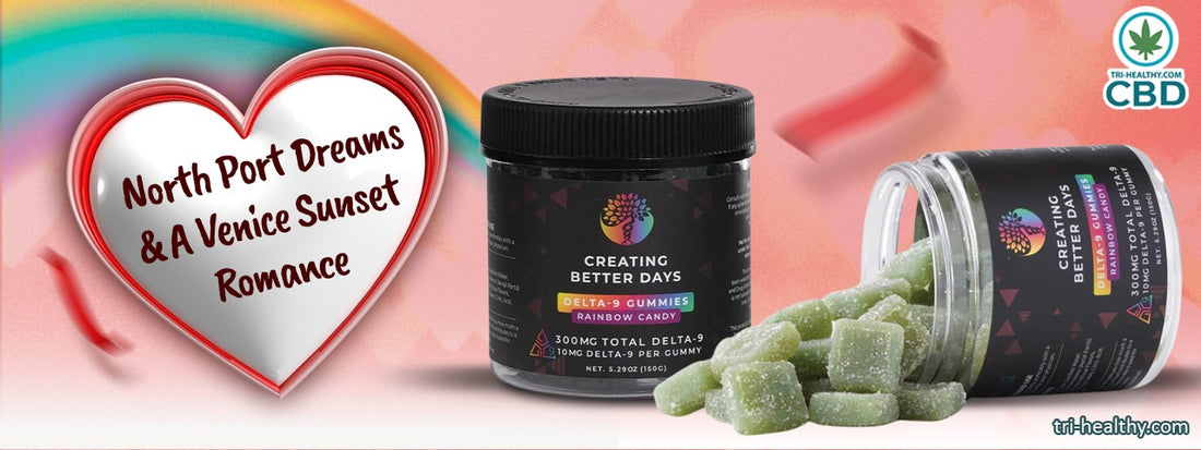 Chapter 2: North Port Dreams & A Venice Sunset Romance