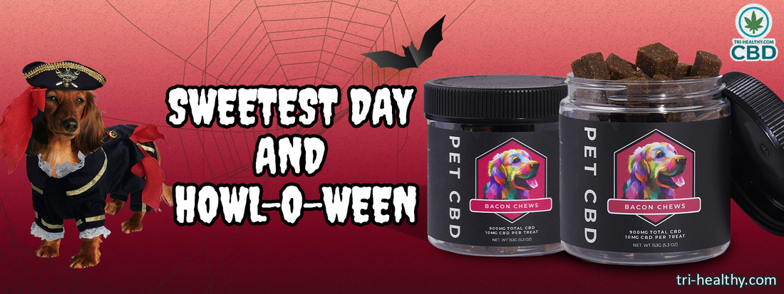 Chapter 8: Sweetest Day and Howl-O-Ween