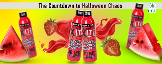 Chapter 11: The Countdown to Halloween Chaos