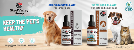 Walking Your Dog Can Trigger Healthy Habits