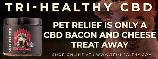 Pet Relief is Only a CBD Bacon and Cheese Treat Away