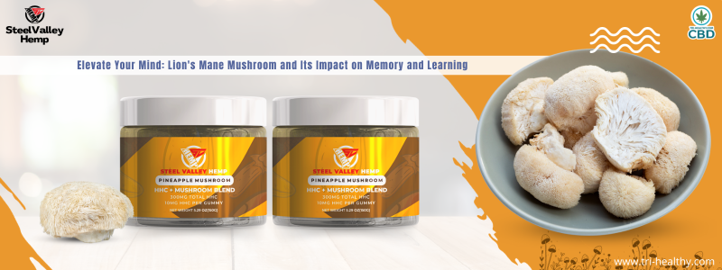 Elevate Your Mind: Lion's Mane Mushroom and Its Impact on Memory and Learning