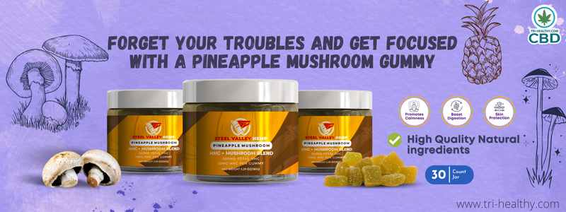 Forget Your Troubles and Get focused With a Pineapple Mushroom Gummy