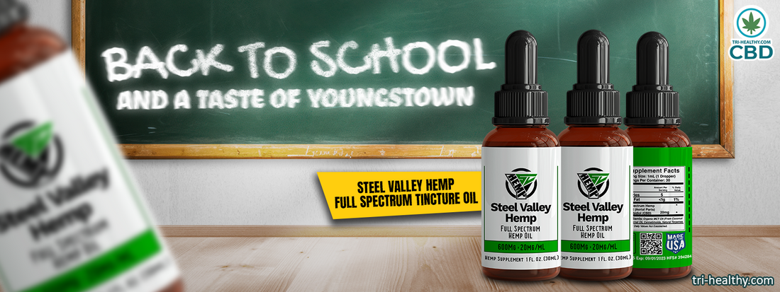 Chapter 1: Back to School Blues and a Taste of Youngstown