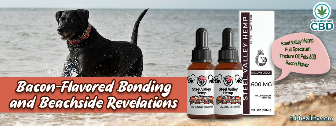 Chapter 9: Bacon-Flavored Bonding and Beachside Revelations