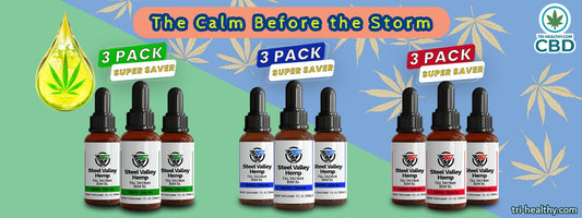 Chapter 13: The Calm Before the Storm