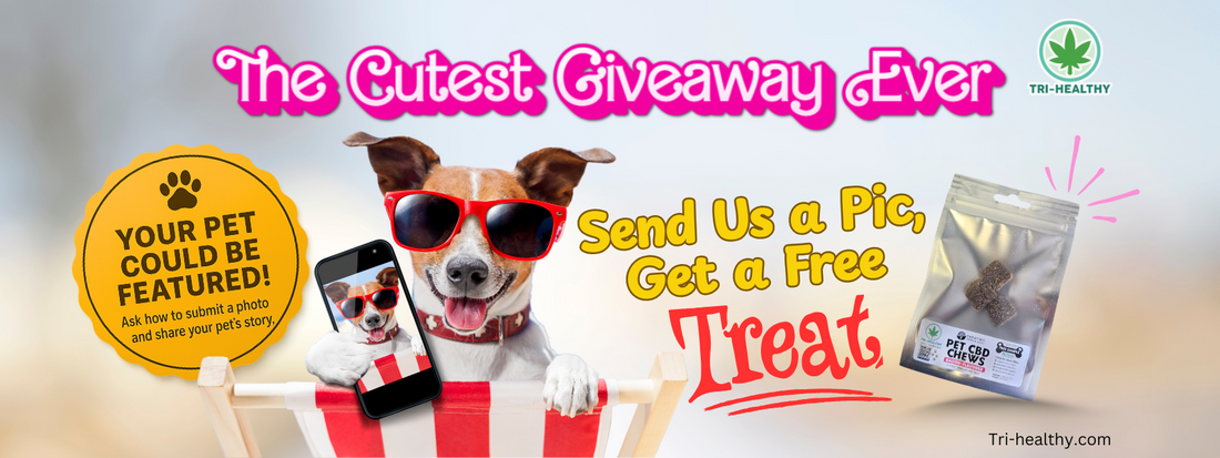 The Cutest Giveaway Ever: Send Us a Pet Pic, Get a Free Treat!