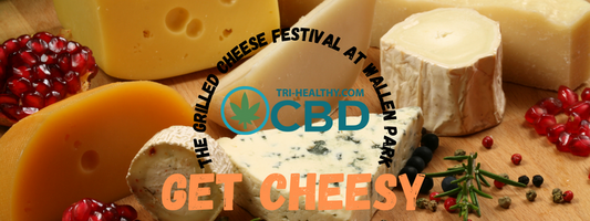 The Grilled Cheese Festival at Wallen Park with Delicious