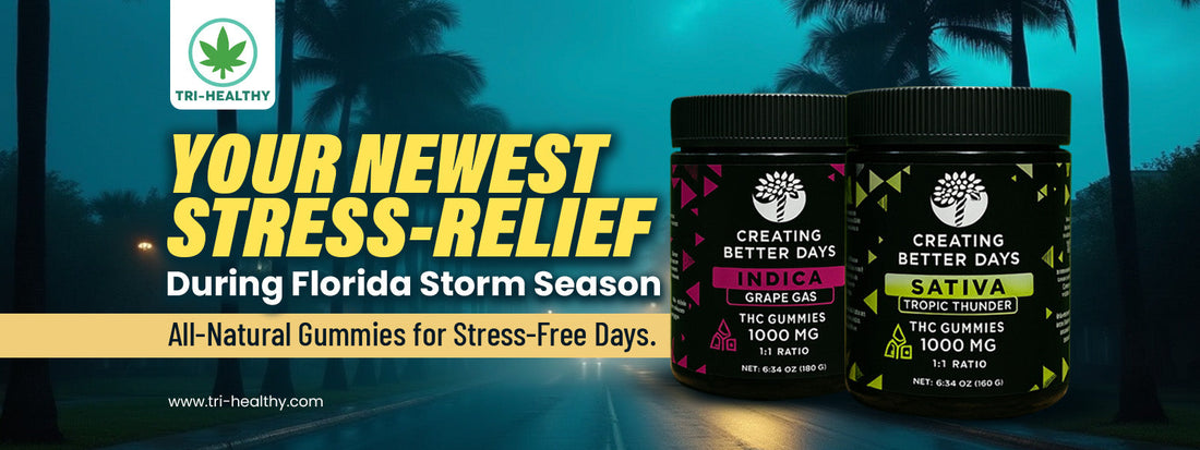 Your Newest Stress-Relief During Florida's Storm Season