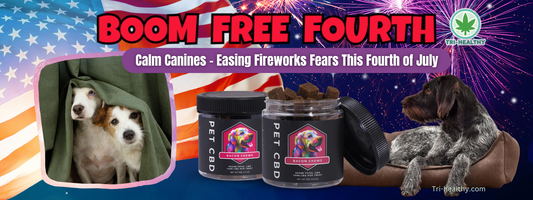 Boom-Free Fourth: How CBD Helps Dogs Handle Fireworks