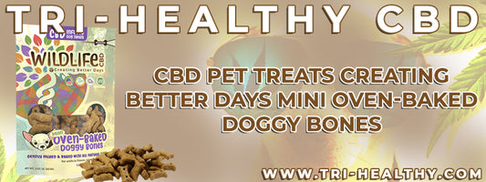 S1E56 CBD Pet Treats Creating Better Days Mini Oven-Baked Doggy Bones