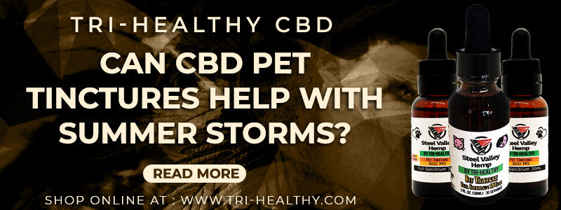 Can CBD Pet Tinctures Help with Summer Storms?