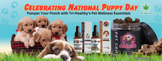 Celebrating National Puppy Day: Pamper Your Pooch with Tri-Healthy's Pet Wellness Essentials