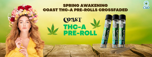 Spring Awakening: Coast THC-A Pre-rolls Crossfaded