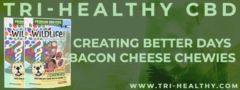 S1E58 Creating Better Days Bacon Cheese Chewies