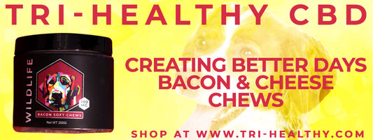 S1E123 Creating Better Days Bacon & Cheese Chews