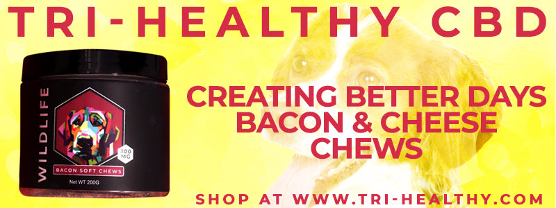 S1E123 Creating Better Days Bacon & Cheese Chews