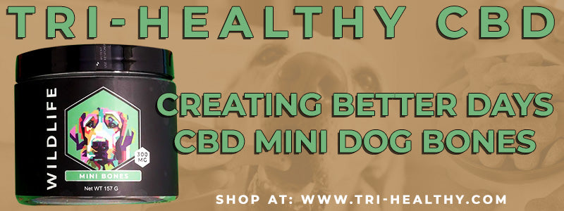 S1E121 Creating Better Days CBD Mini Dog Bones Reviews