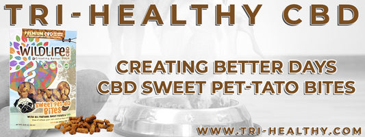 S1E60 Creating Better Days CBD Sweet Pet-Tato Bites