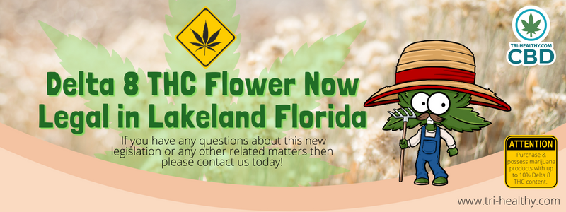 Delta 8 THC Flower Now Legal in Lakeland Florida