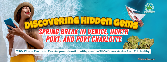 Discovering Hidden Gems: Spring Break in Venice, North Port, and Port Charlotte