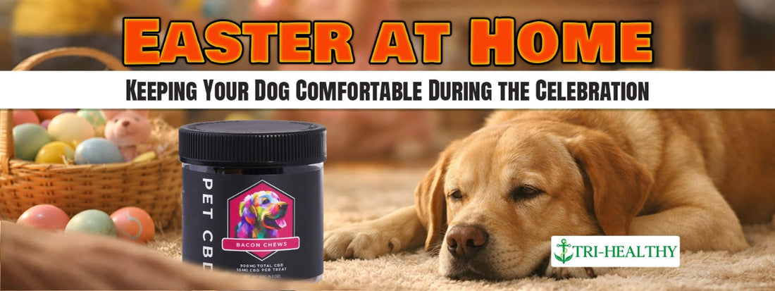 Pet Bacon Flavored CBD Chews