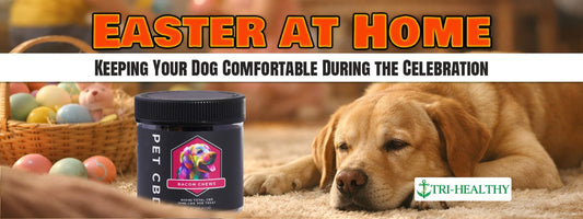 Pet Bacon Flavored CBD Chews