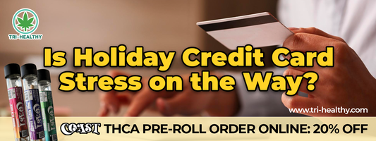 Is Holiday Credit Card Stress on the Way?