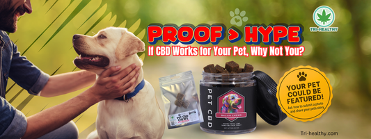 Proof > Hype: If CBD Works for Your Pet, Why Not You?