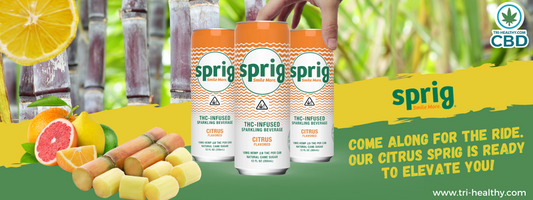 Come along for the ride. Our Citrus Sprig is ready to elevate you!