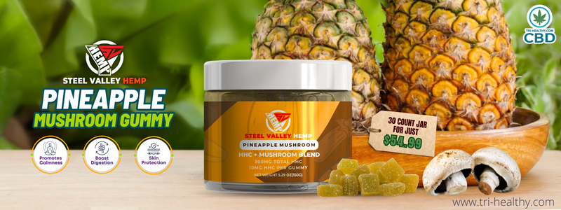Experience the Tropical Goodness of a Pineapple HHC Mushroom Gummy
