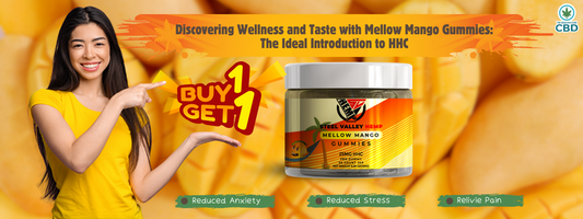 Discovering Wellness and Taste with Mellow Mango Gummies: The Ideal Introduction to HHC