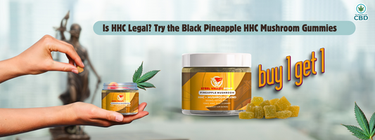 Is HHC Legal? Try the Black Pineapple HHC Mushroom Gummies (Buy One Get One FREE)