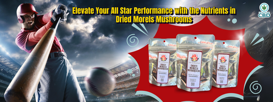 Elevate Your All-Star Performance with Tri-Shrooms Dried Morels Mushrooms