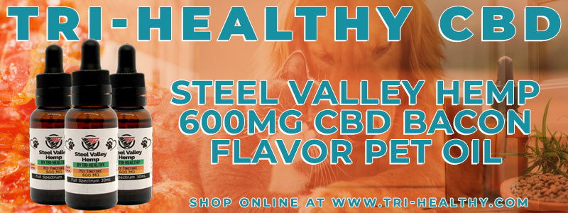 S1E79 Steel Valley Hemp 600mg CBD Bacon Flavor Pet Oil