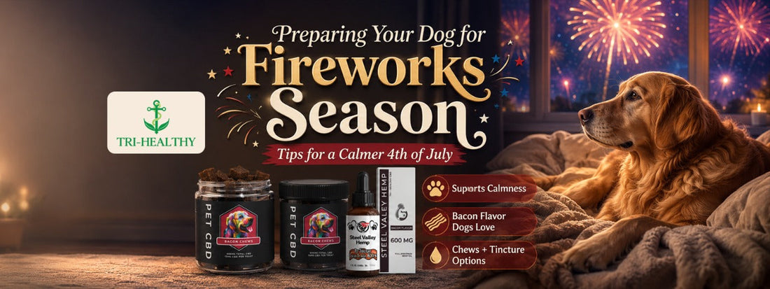 Preparing Your Dog for Fireworks Season | Tips for a Calmer 4th of July