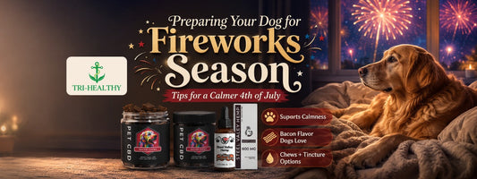 Preparing Your Dog for Fireworks Season | Tips for a Calmer 4th of July