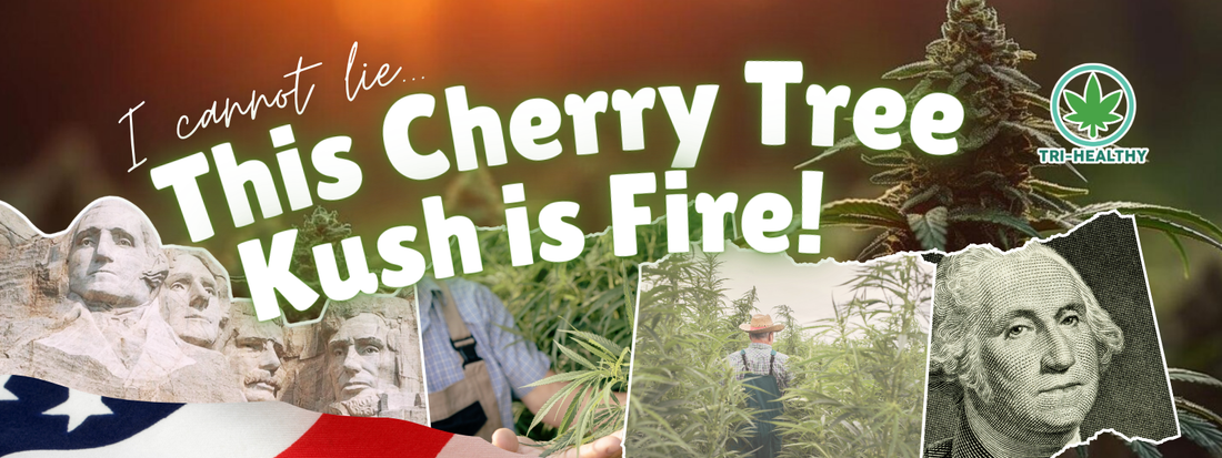 I Cannot Lie... This Cherry Tree Kush is Fire!