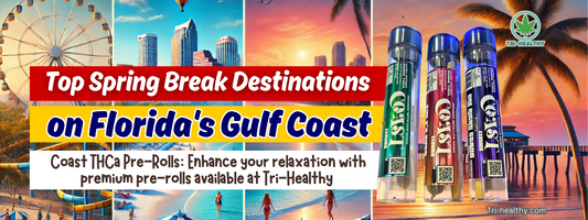 Top Spring Break Destinations on Florida's Gulf Coast