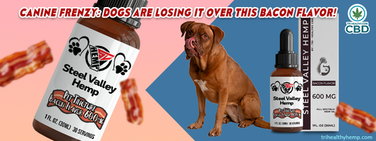 Canine Frenzy: Dogs Are Losing It Over This Bacon Flavor! Steel Valley Hemp Full Spectrum Tincture Oil Pets 600 Bacon Flavor