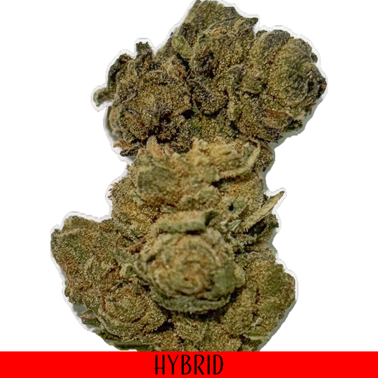 THCA Flower-Hybrid London Chello